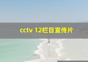 cctv 12栏目宣传片